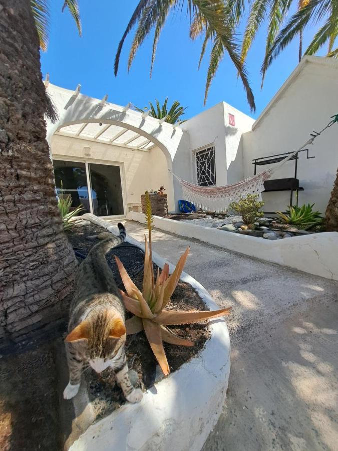 Palm Point Apartment Costa Calma Exterior foto